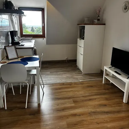 Apartment Au Pied Des Vosges